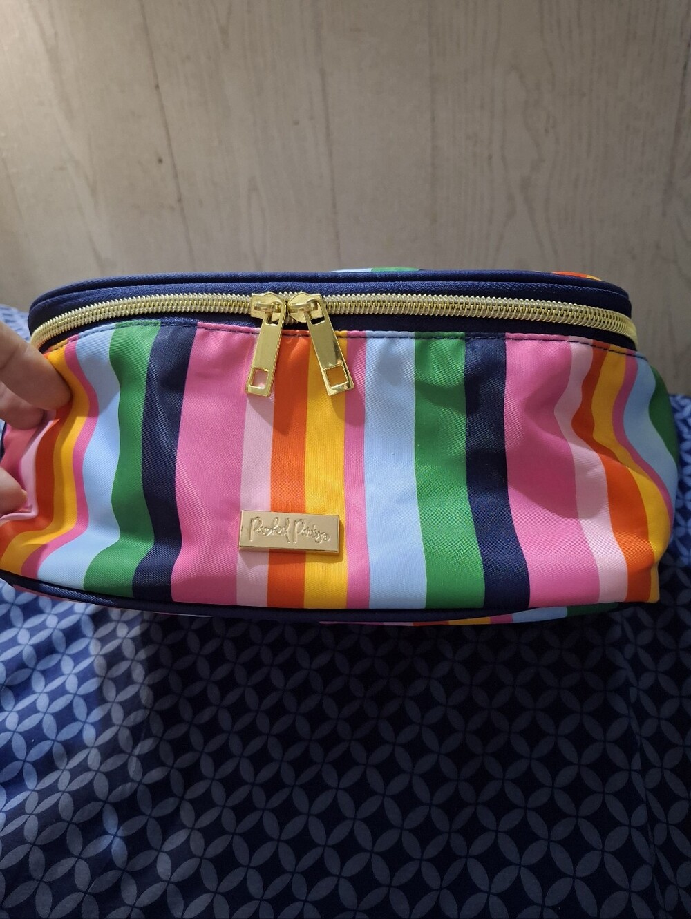 Rainbow Stripe Makeup Pouch with Gold Hardware